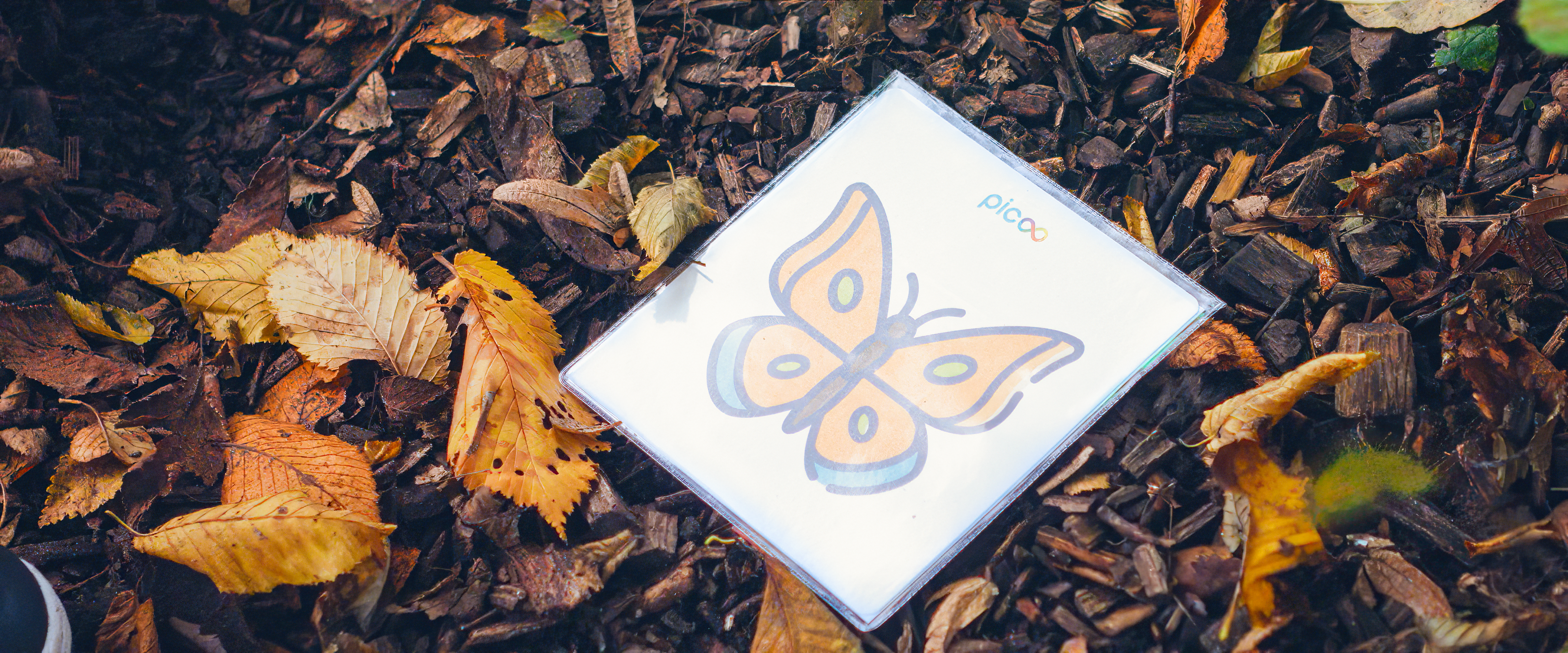 Kinderen die spelen met Picoo